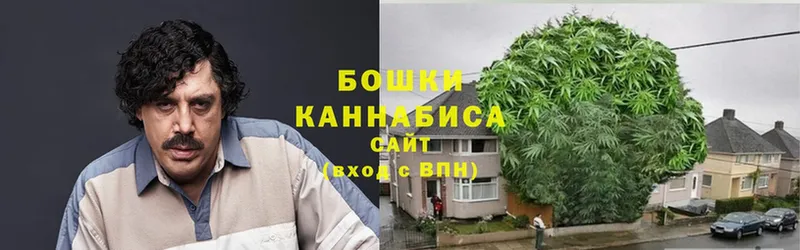 где продают   Лесозаводск  МАРИХУАНА Bruce Banner 